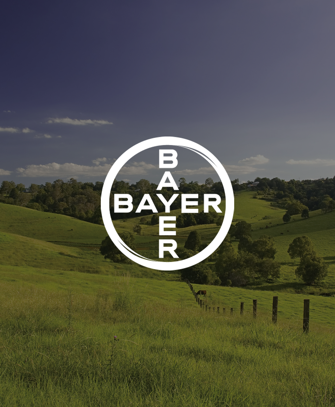 Bayer